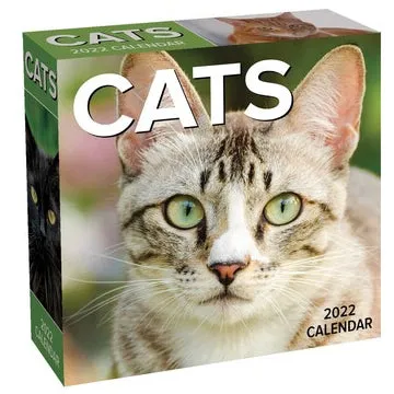 2022 Cats a Day Calendar- Item #H001922