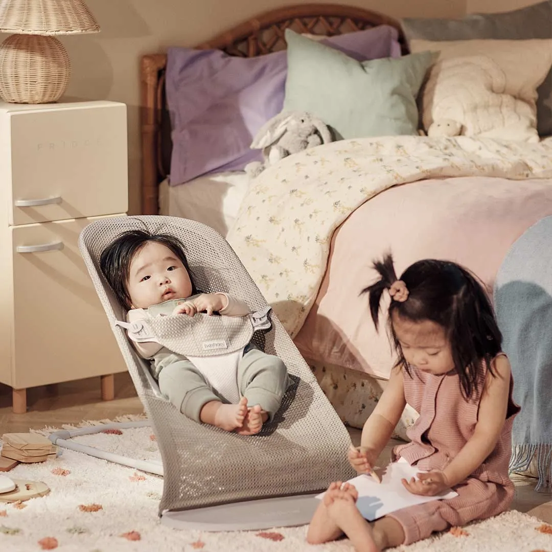 BabyBjorn Balance Soft Mesh Baby Bouncer Silver Frame - 4 Color