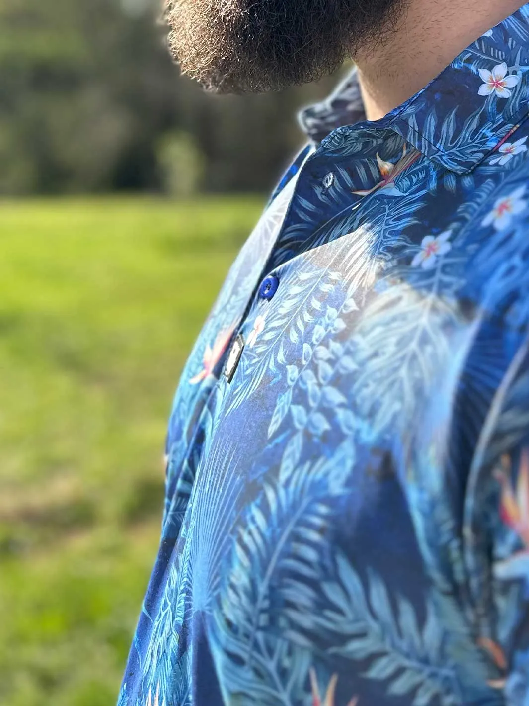 Birds Of Paradise