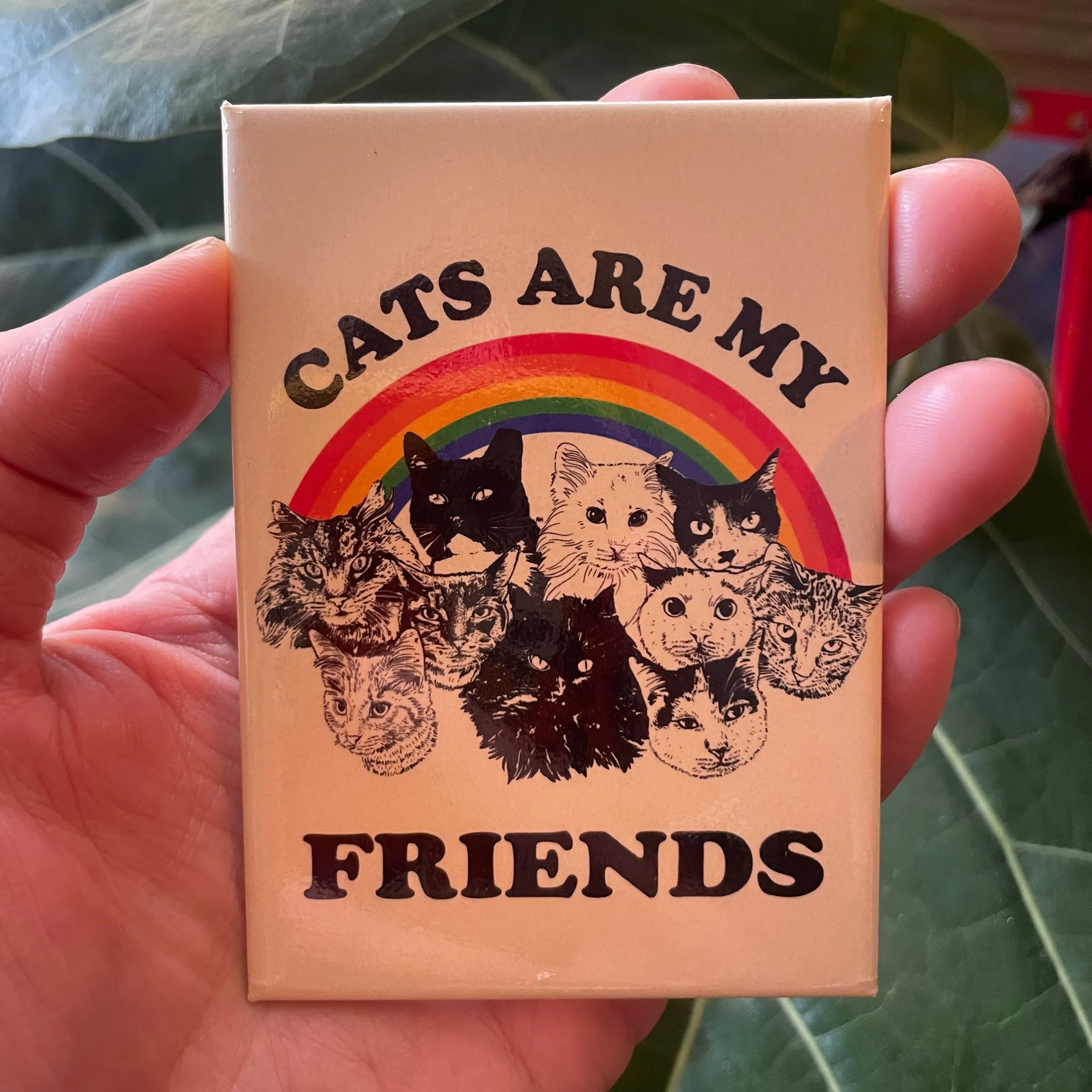 Cats are my Friends Metal Magnet
