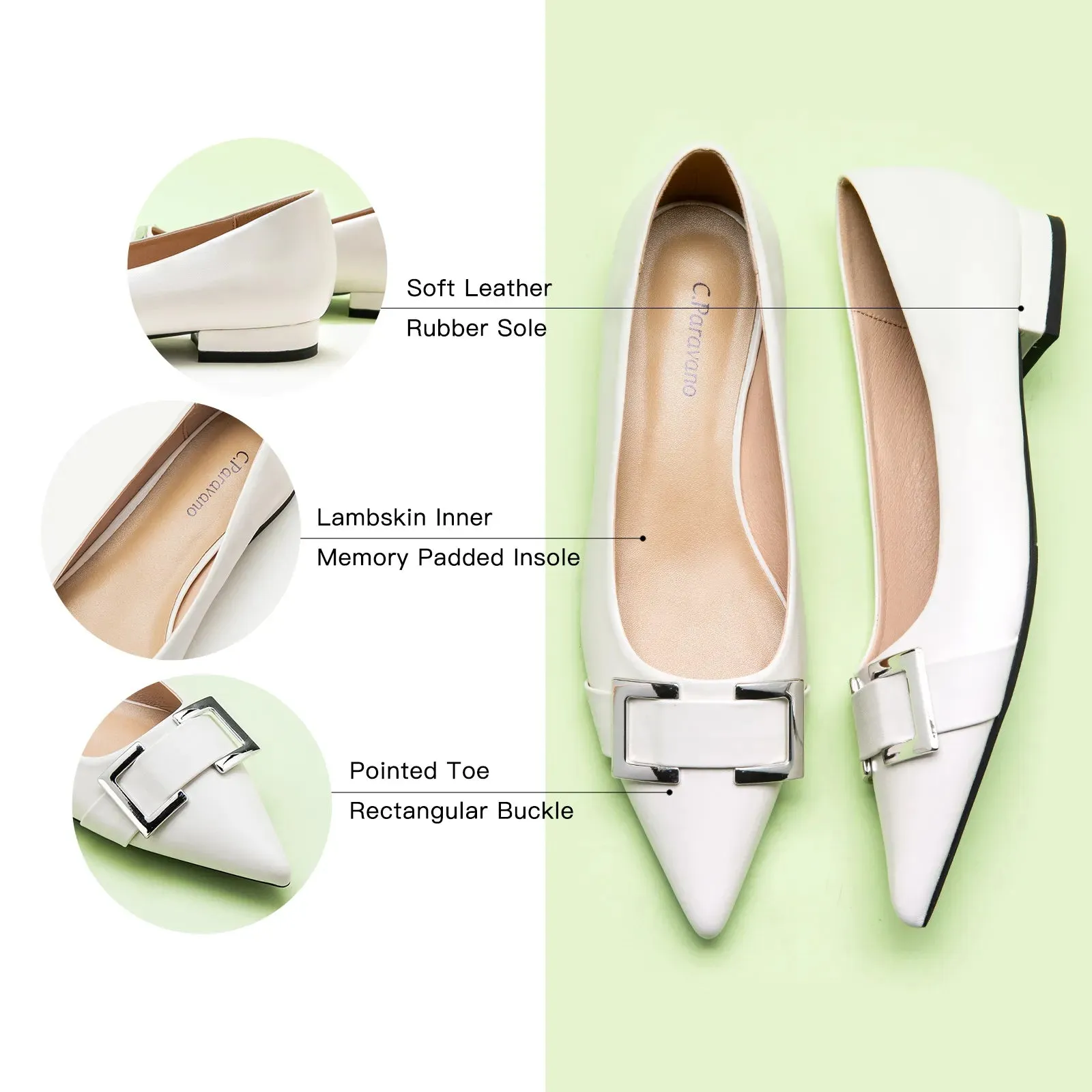 Metal Buckle Pointed Toe Flats (Aida)（SALE）