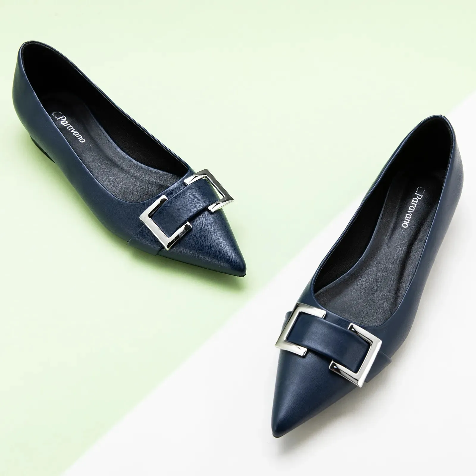 Metal Buckle Pointed Toe Flats (Aida)（SALE）
