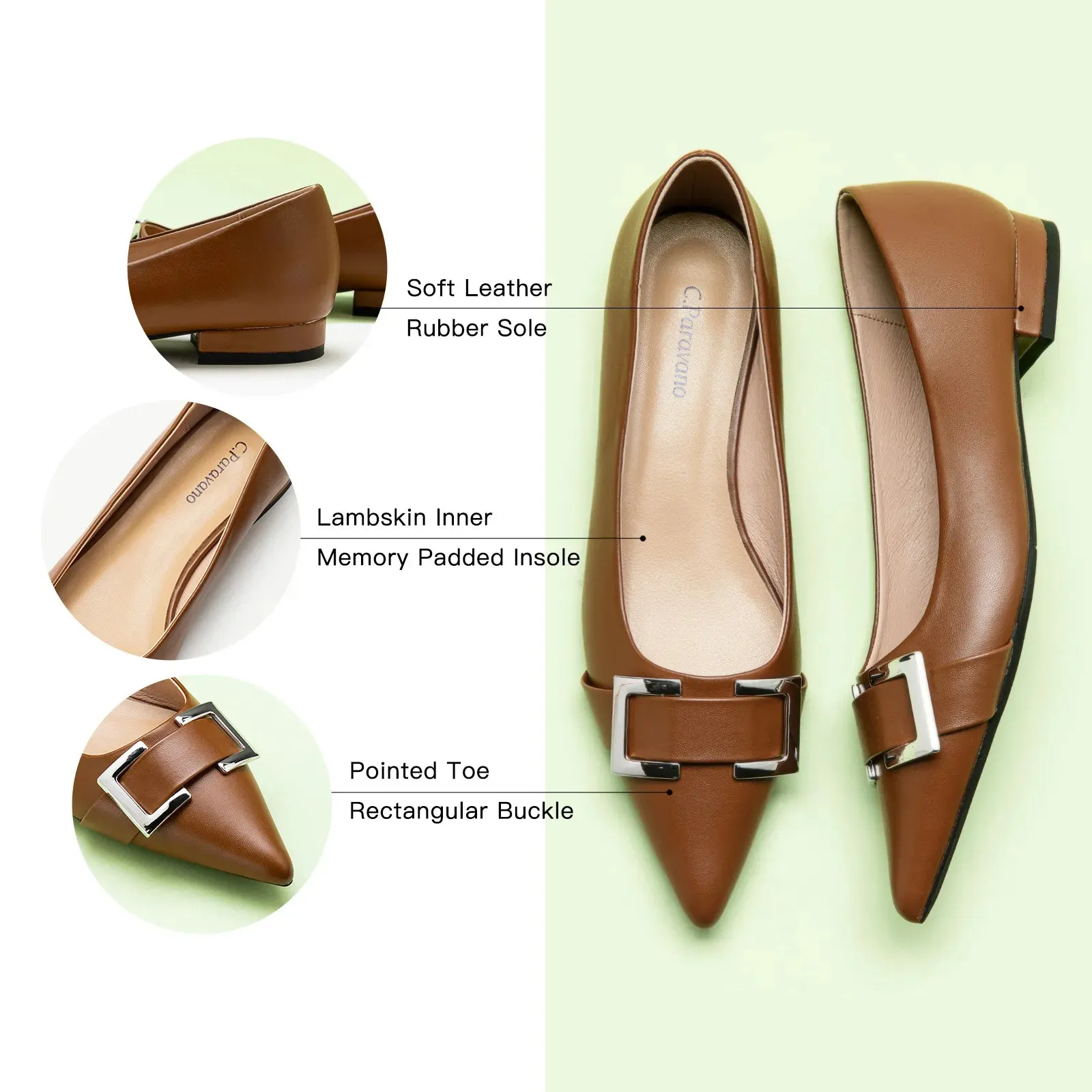 Metal Buckle Pointed Toe Flats (Aida)（SALE）