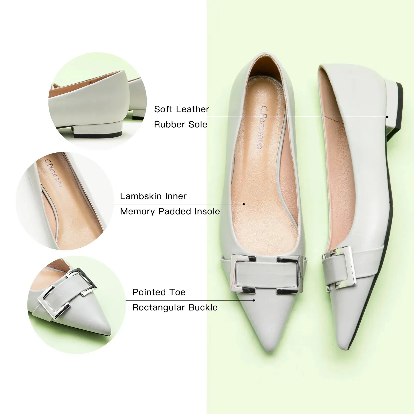Metal Buckle Pointed Toe Flats (Aida)（SALE）