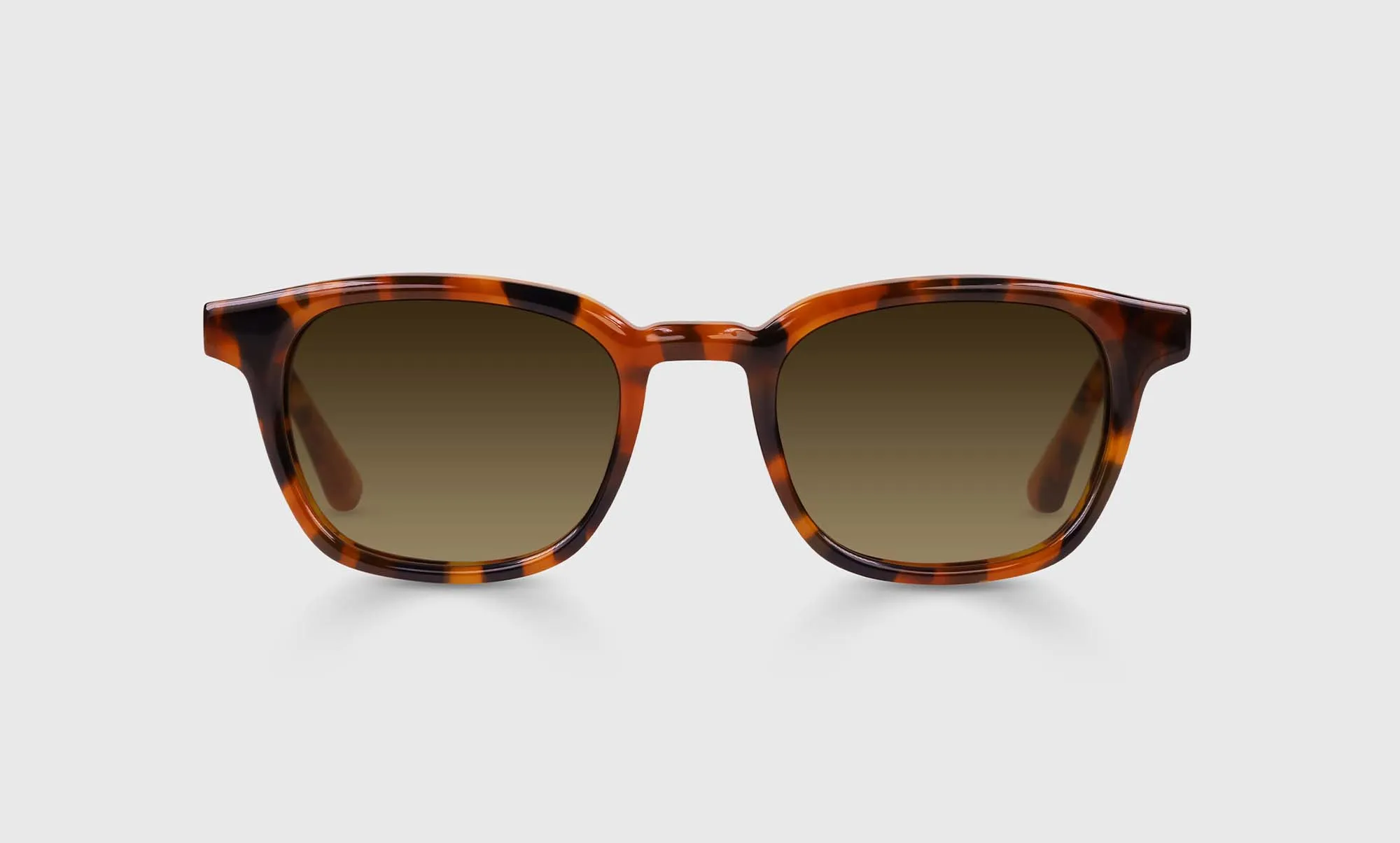Shareholder Sunglasses