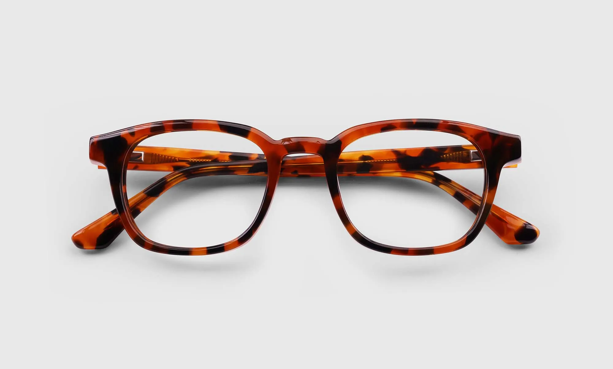 Shareholder Sunglasses