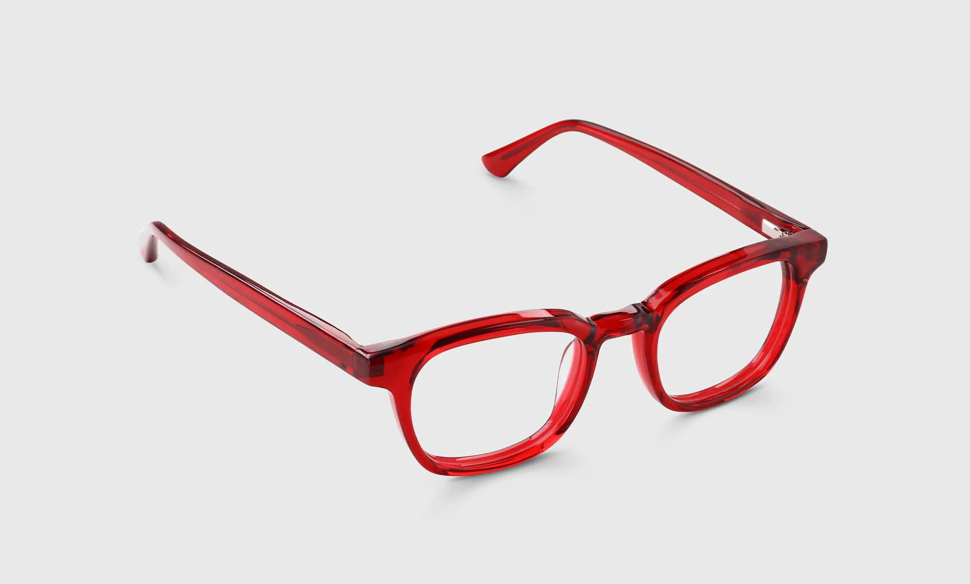 Shareholder Sunglasses