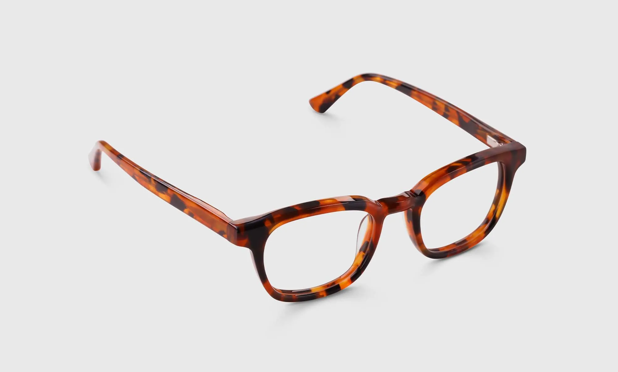 Shareholder Sunglasses