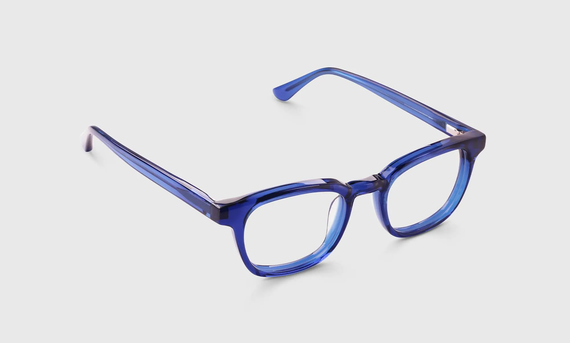 Shareholder Sunglasses
