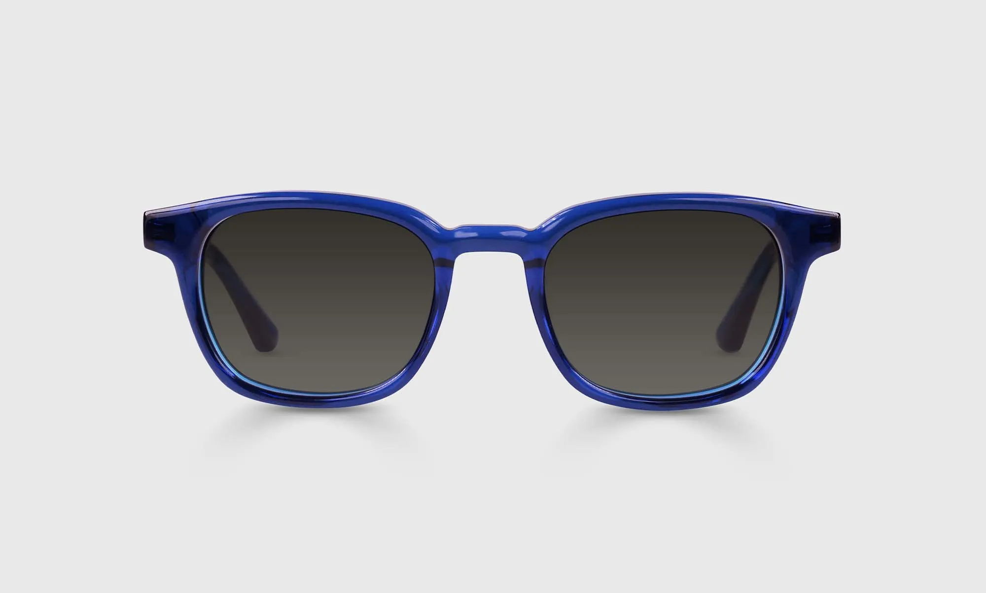 Shareholder Sunglasses