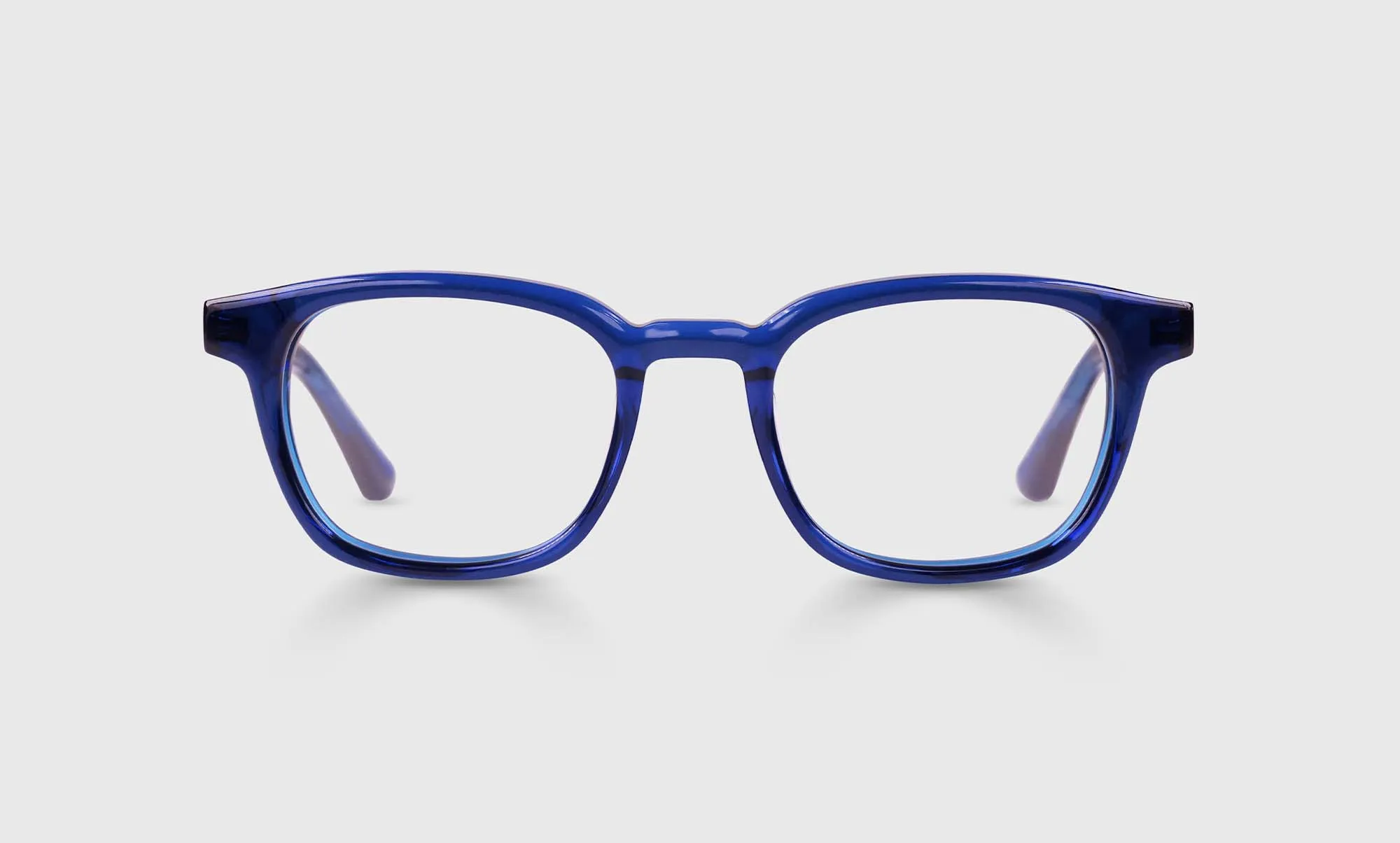 Shareholder Sunglasses