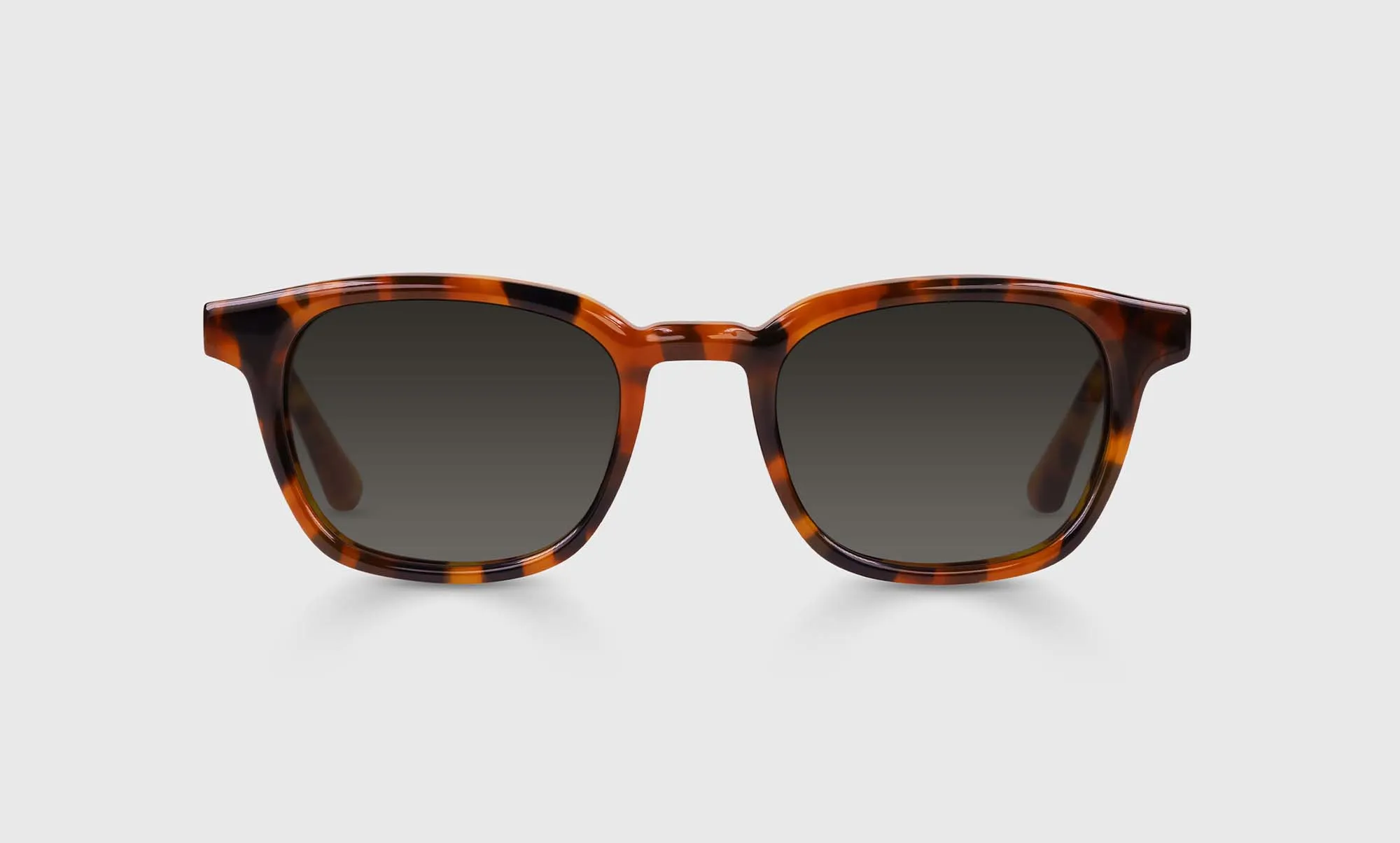 Shareholder Sunglasses
