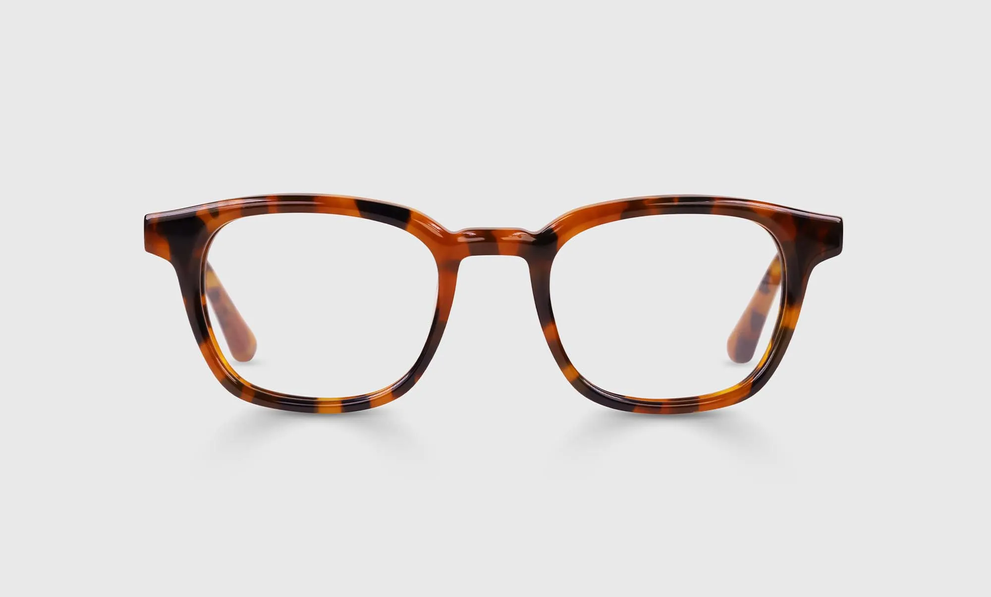 Shareholder Sunglasses