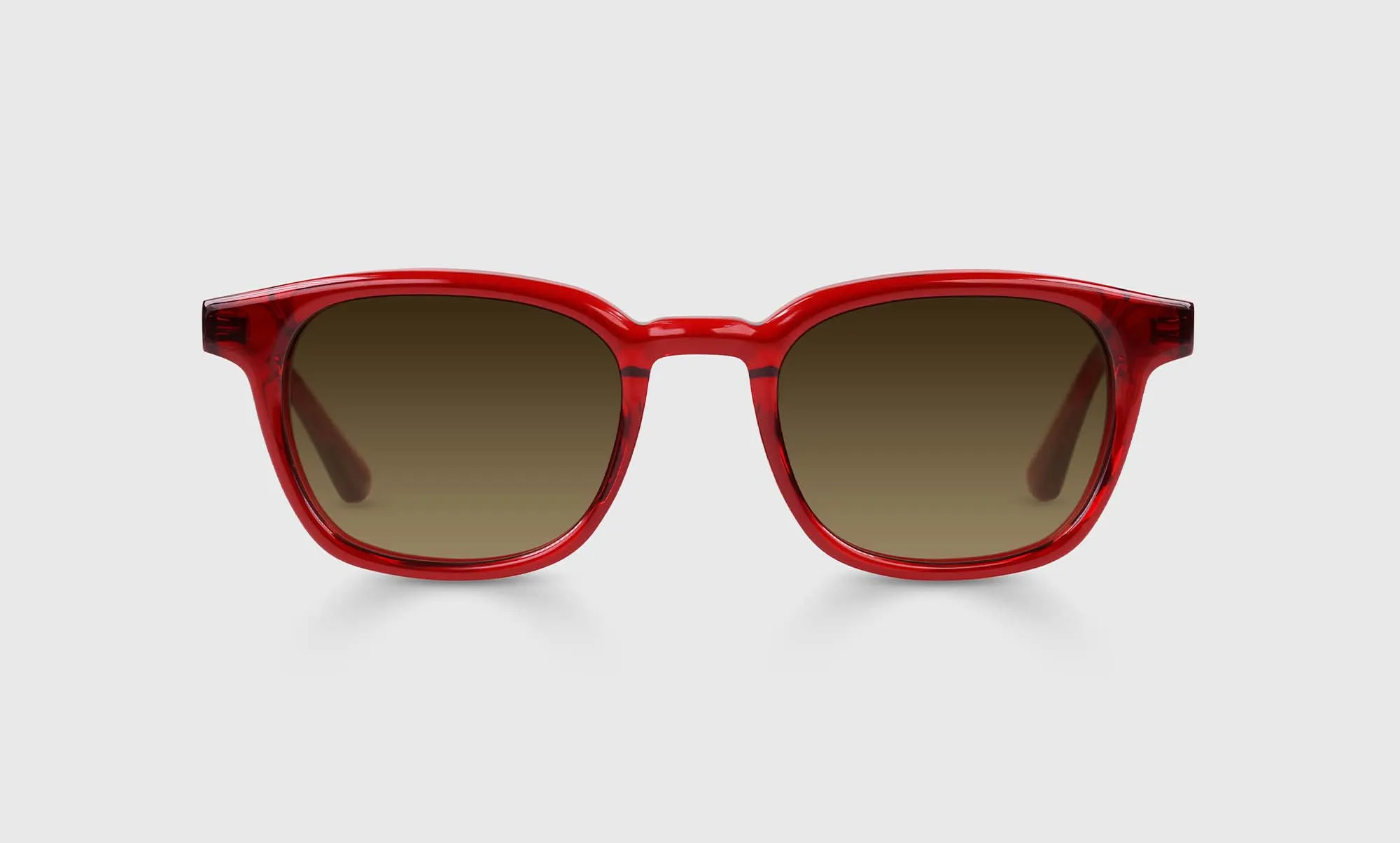 Shareholder Sunglasses