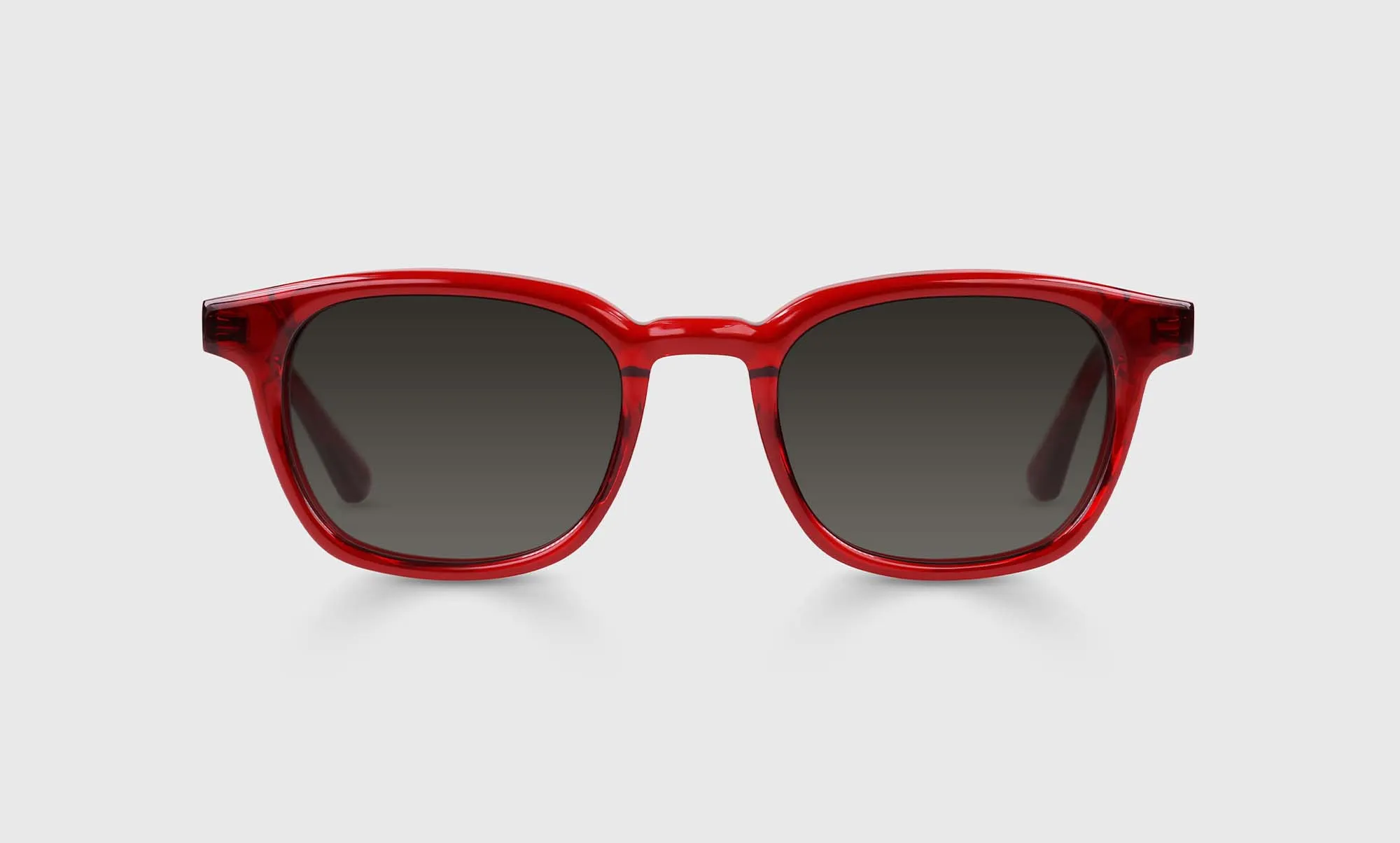 Shareholder Sunglasses