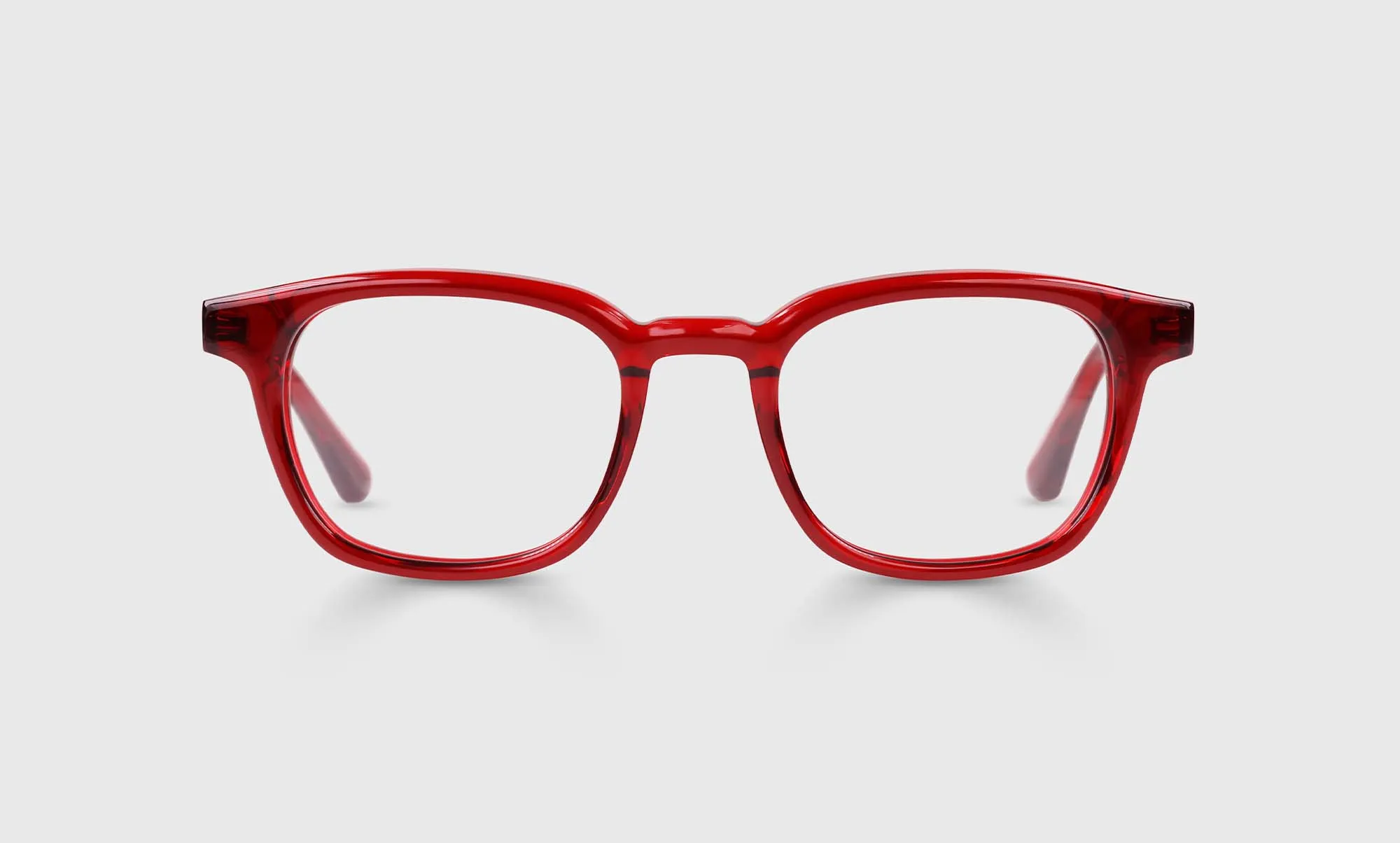Shareholder Sunglasses