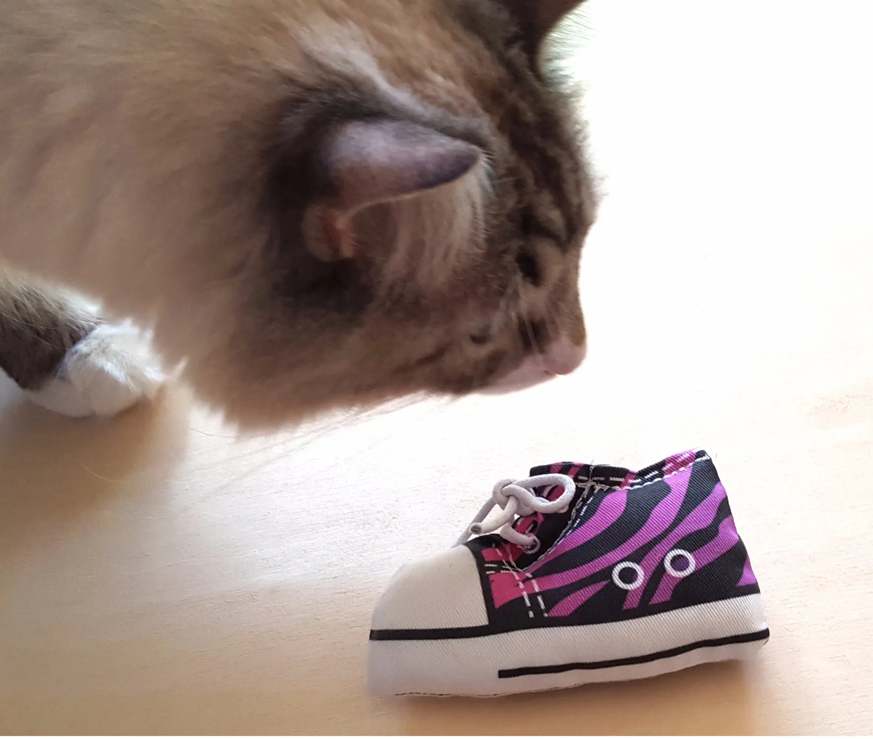 Sneaker Catnip Cat Toy in Purple Zebra