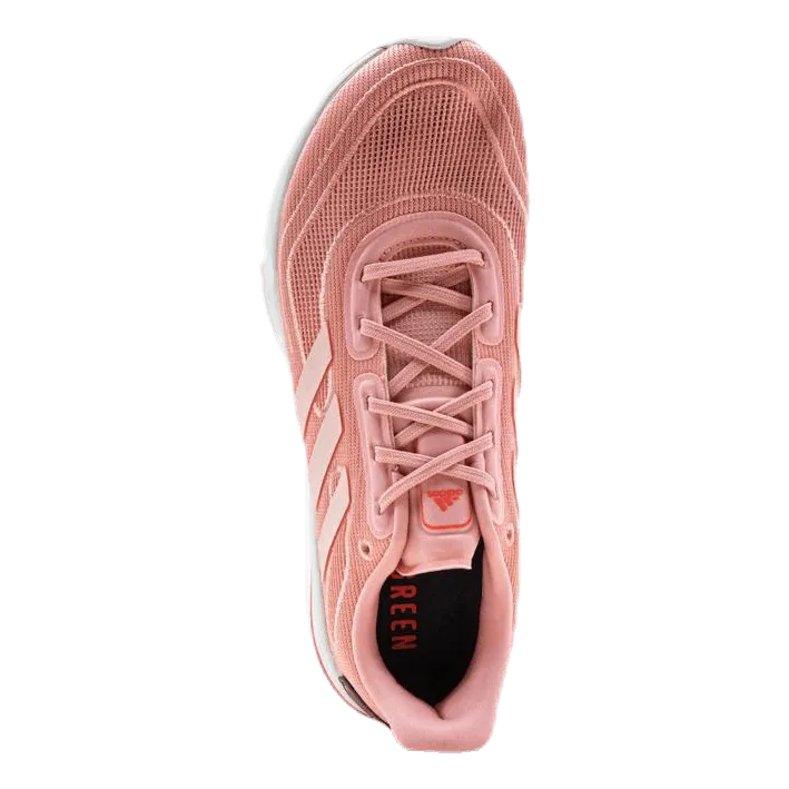 Supernova Shoes Glow Pink / Glow Pink / Signal Pink / Coral